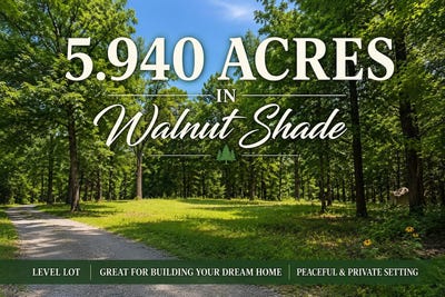 /international/us/640-n-emory-creek-road-walnut-shade-mo-110108570450/