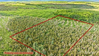 /international/us/1188-nw-s-ross-wells-road-arnold-mi-110109000363/