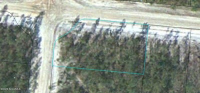 /international/us/satilla-plantation-lot-11-waynesville-ga-110119605884/