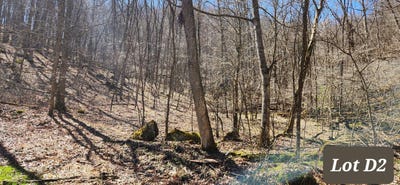 /international/us/gobblers-lane-lot-d2-hillsboro-wv-110104240808/