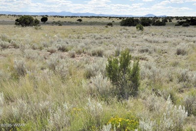 /international/us/76-acres-cr-6451-st-johns-az-110106819648/