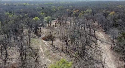/international/us/3292-highway-31-axtell-tx-110108665816/
