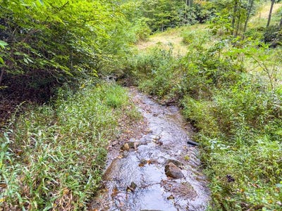 /international/us/covered-bridge-trl-lot-13-fancy-gap-va-110110306441/