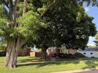 /international/us/344-e-parallel-street-palatine-il-110108937510/