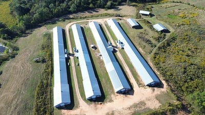 /international/us/226-pine-burr-rd-lumberton-ms-110103381906/