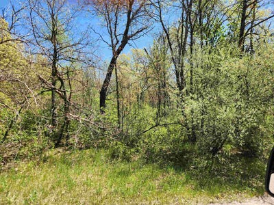 /international/us/2914-oak-avenue-grand-marsh-wi-110108293971/