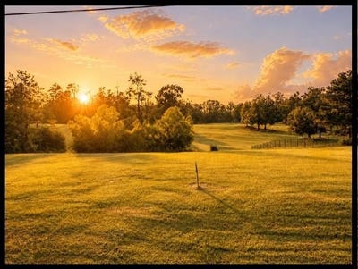 /international/us/woodland-rd-batesville-ms-110103571462/
