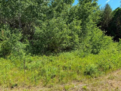 /international/us/2-5-acres-county-road-c-arkdale-wi-110108817167/