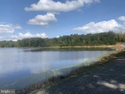 /international/us/lot-6-lake-ruth-ann-louisa-va-110095184005/?lang=zh-cn