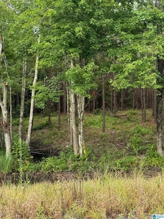 /international/us/0-concord-church-road-talladega-al-110100925237/?lang=zh-tw