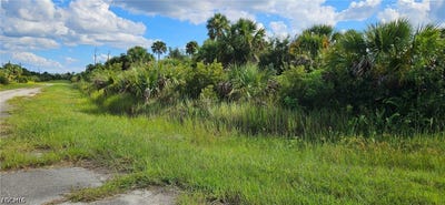 /international/us/stuckert-street-lot-12-north-port-fl-110110355414/