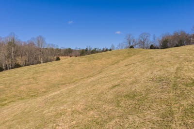 /international/us/50-acres-sutton-hollow-road-sneedville-tn-110120107037/
