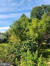 /international/us/days-mill-road-york-pa-110105834454/