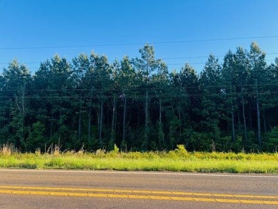 /international/us/3122-state-hwy-184-hemphill-tx-110107073155/
