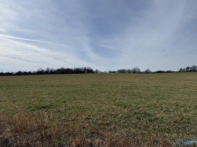 /international/us/40-ac-county-road-131-bryant-al-110097893081/