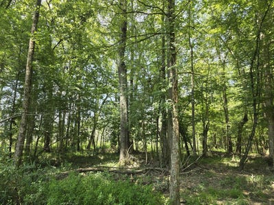 /international/us/000-gardner-road-grady-al-110101289116/?lang=zh-tw
