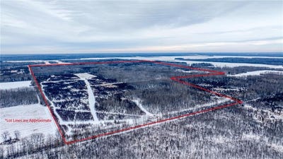 /international/us/tbd-fourtown-road-nw-spruce-grove-twp-mn-110104418393/