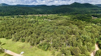 /international/us/400-tree-farm-road-melbourne-ar-110100246988/?lang=zh-tw