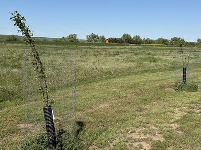 /international/us/tbd-lot-4-wild-west-place-belle-fourche-sd-110099110765/