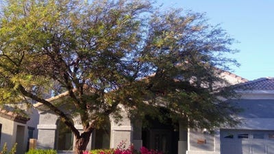 /international/us/24744-w-illini-street-buckeye-az-110107282186/