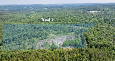/international/us/tract-3-harmony-mountain-road-clinton-ar-110104515906/