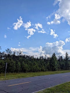 /international/us/0-ig-lanier-rd-pembroke-ga-110100354844/