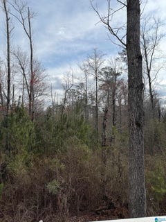 /international/us/county-road-295-lot-0-smiths-station-al-110106918969/