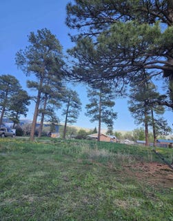 /international/us/701-grove-avenue-chama-nm-110106759455/