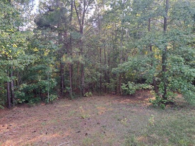 /international/us/1001-robinson-road-ridgeway-sc-110101190811/
