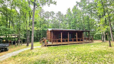 /international/us/7473-meadow-creek-fox-ar-110100074639/