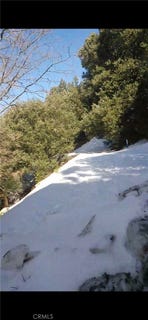 /international/us/0-saxon-crestline-ca-110102775613/