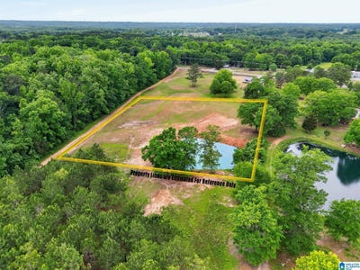 /international/us/county-road-491-lot-1-clanton-al-110108019748/