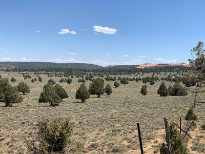 /international/us/parcel-15-0075-0240-bryce-ut-110097833243/