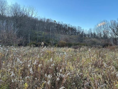 /international/us/dewey-hollow-road-mainesburg-pa-110103322664/