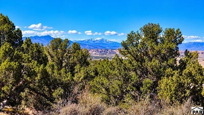 /international/us/newton-rd-pueblo-co-110120589490/