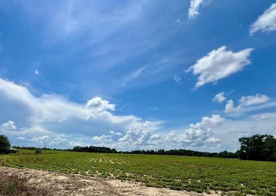 /international/us/000-36-acres-rice-road-taylor-al-110099327202/?lang=zh-tw
