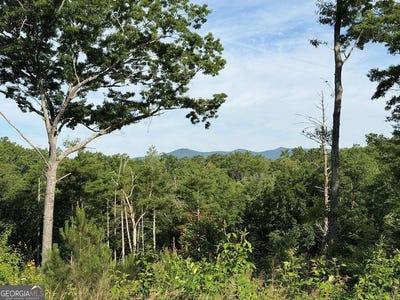 /international/us/lt-304-greenwood-court-ellijay-ga-110108613532/