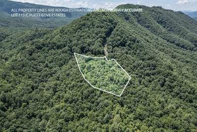 /international/us/lot-111c-puett-cove-estates-marble-nc-110100919295/?lang=fr
