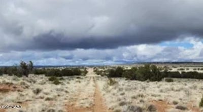 /international/us/tbd-lot-87-block-32-bell-brand-ranches-chambers-az-110095634167/?lang=zh-tw