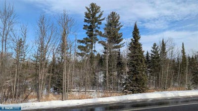 /international/us/hwy-22-cook-mn-110104781974/