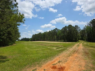 /international/us/6686-rembert-hills-rd-sweet-water-al-36782-rembert-al-110107656734/