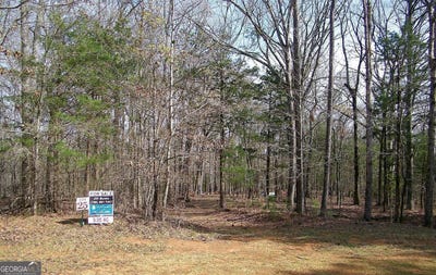 /international/us/benjamin-brown-court-lot-25-elberton-ga-110120017354/