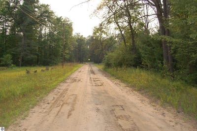 /international/us/lot-27-catherine-street-prescott-mi-110101371466/?lang=zh-tw