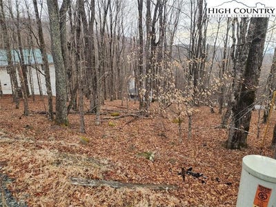 /international/us/153-pond-creek-road-beech-mountain-nc-110097701555/