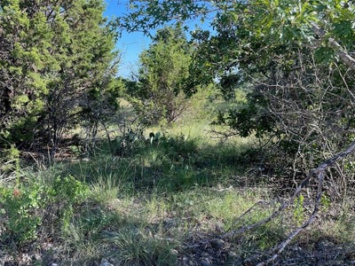 /international/us/lot-22-oakcrest-drive-ranger-tx-110093317361/?lang=zh-tw