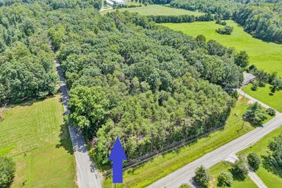 /international/us/lot-1-airport-rd-moneta-va-110100995625/
