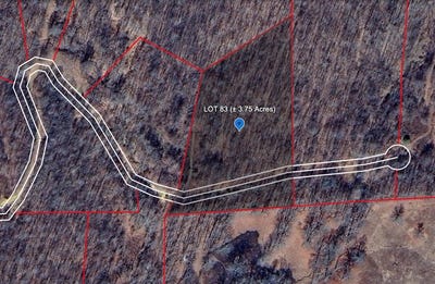 /international/us/211-gerber-daisy-trail-bragg-wv-110102885008/