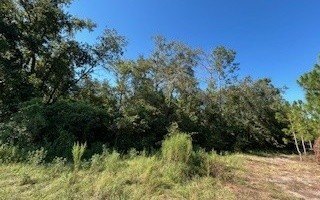 /international/us/tbd-209th-place-live-oak-fl-110107487957/