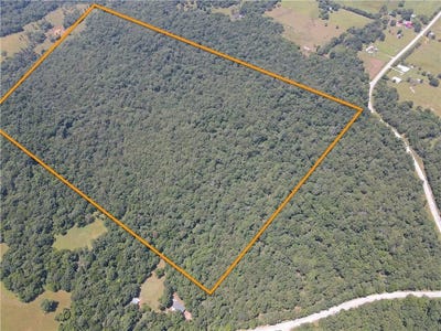 /international/us/000-hale-mountain-rd-canehill-ar-110100589932/