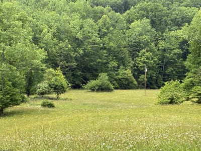 /international/us/1168-heaston-ridge-road-crawford-wv-110108747591/